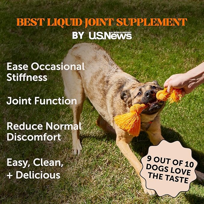Dog Joint Supplement with Salmon Oil for Dogs - Ease Stiffness, Reduce Discomfort & Support Joint Mobility Liquid Supplement, Dog Food Topper Bone Broth with Glucosamine for Dogs (12 oz)-PurrikoPets