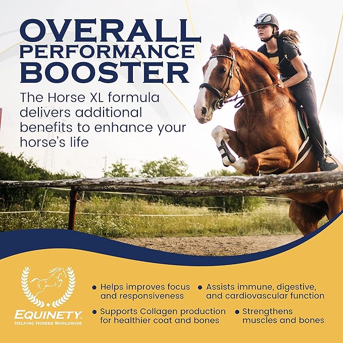 100-Day Supply Horse XL Supplements – Horse Care Weight Gain Supplement W/ 8 Amino Acids - No Soy or Sugar Coat Defense for Horses - Joint Supplement, Equine Supplies & Hoof Supplements-PurrikoPets