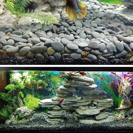 18 Pounds Natural River Rocks Mexican Beach Pebbles for Garden Landscape Stone Paving Stone Grey (1Inch)-PurrikoPets