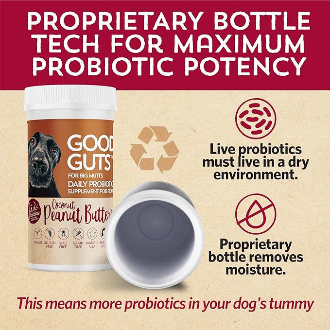 Fidobiotics Good Guts for Big Mutts Probiotic for Dogs, 12 Billion CFUs, 11 Strains, 5 Digestive Enzymes, 2 Prebiotics, Digestive Gut Health for Dogs, Adult & Puppy Probiotics Supplements (20 Days)-PurrikoPets