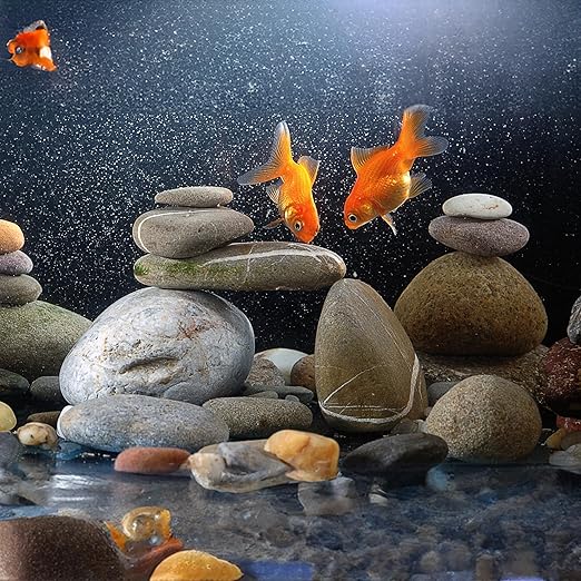 40lbs Large River Rocks for Landscaping, 3-4 Inch Natural Unpolished Bulk Pebbles, Hand-Picked Premium Stones for Garden Design Fish Tank, Flower Pots, Pathways and Backyard, Mixed Color-PurrikoPets