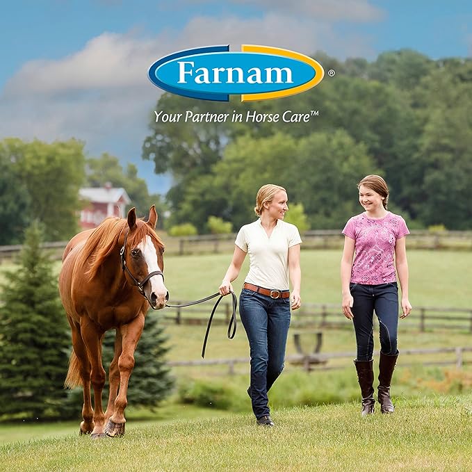 Farnam Endure Sweat-Resistant Fly Spray for Horses, Lasts Up to 14 Days, Protects Against Flies, Gnats, Mosquitoes, Ticks & Lice, 32 oz.-PurrikoPets