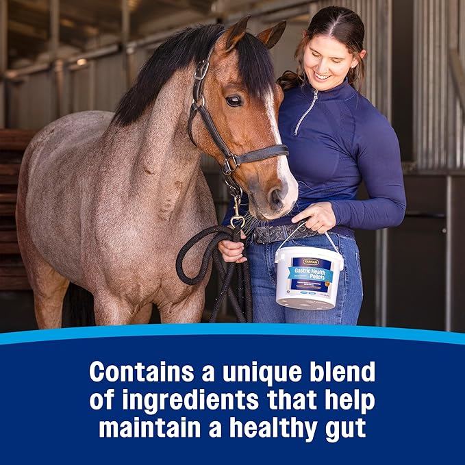 Farnam Gastric Health Pellets, Daily Gut and Digestive Health Supplement for Horses Helps Maintain a Healthy Gastrointestinal Tract and Gut Function-PurrikoPets