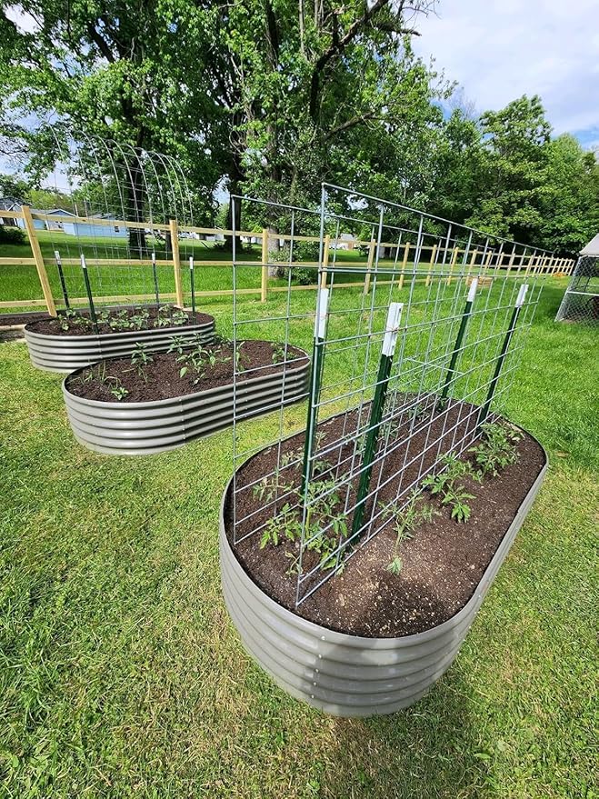 A ANLEOLIFE 8X4X1.5 ft Galvanized Raised Garden Beds Outdoor, Oval Large Metal Planter Box for Planting Vegetables Flowers Herb, Anti-Rust & Easy-Setup, Quartz Grey-PurrikoPets