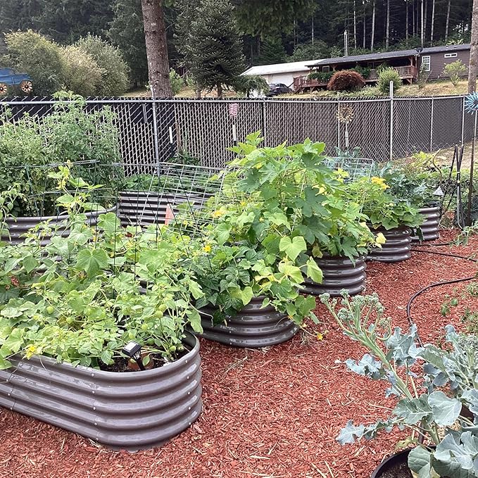 A ANLEOLIFE 6X2X1.5 ft Galvanized Raised Garden Beds Outdoor, Oval Round Metal Planter Box for Planting Vegetables Flowers Herb, Anti-Rust & Easy-Setup, Quartz Grey-PurrikoPets