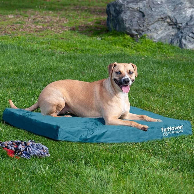 Furhaven Water-Resistant Cooling Gel Dog Bed for Large/Medium Dogs w/ Removable Washable Cover, For Dogs Up to 55 lbs - Indoor/Outdoor Logo Print Oxford Polycanvas Mattress - Deep Lagoon, Large-PurrikoPets