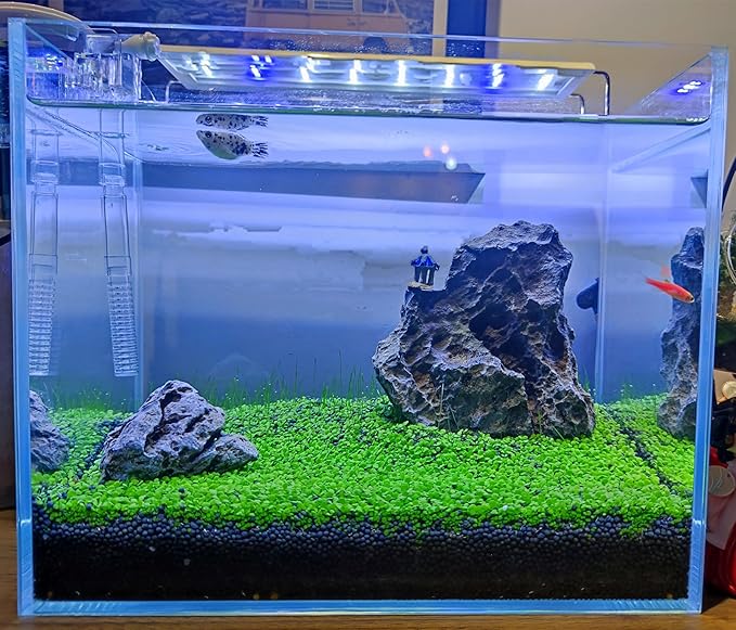 4 Pack Aquarium Plant S.e.e.ds, no Artificial Plastic Plant, Fish Tank Live Grass for All Substrate (0.36ozTiny+0.36oz Long+0.36oz Short+0.36oz Big Dual) ZQV-005-PurrikoPets