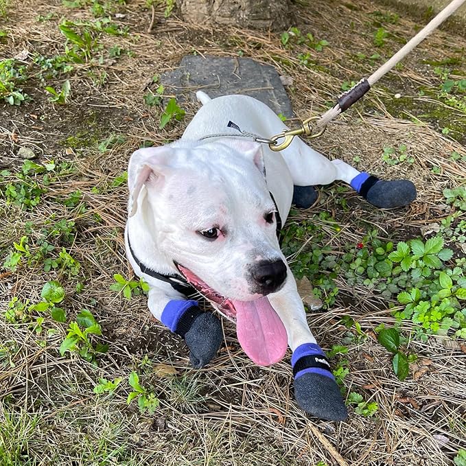 Double Dipped Thick Textured Waterproof Cotton Dog Socks | PawFlex Comfy Pawz Soft Indoor/Outdoor Pet Booties | Non-Slip Silicone Grip at Inner Wrist for No Twisting or Sliding Off| Adjustable Strap-PurrikoPets