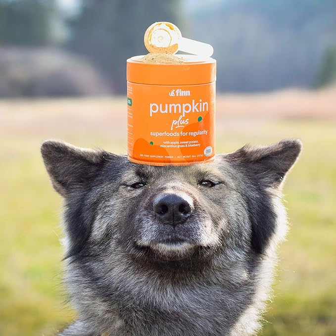 Finn Pumpkin Plus: Daily Digestive Support & Fiber-Rich Topper for Dogs | Promotes Regularity & Gut Health with Superfoods-PurrikoPets