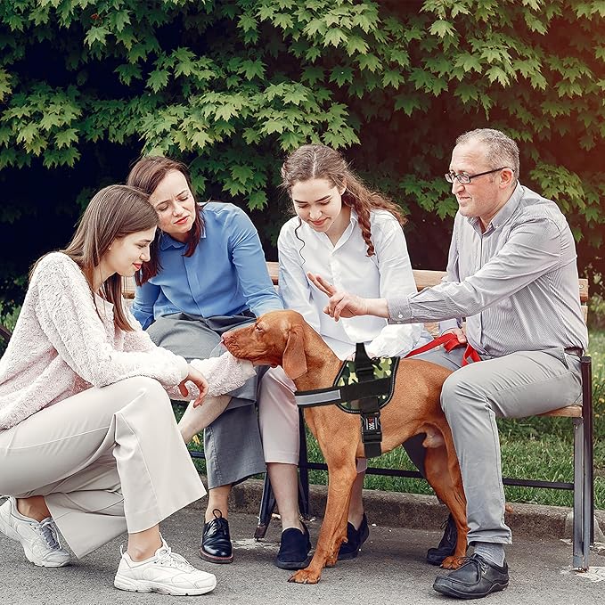 Dogline Dog Harness, Reflective No-Pull Adjustable Vest with Handle for Walking, Training, Breathable, No - Choke Harness for Small, Medium or Large Dogs Room for Patches Girth 22"-28" in Green Camo-PurrikoPets