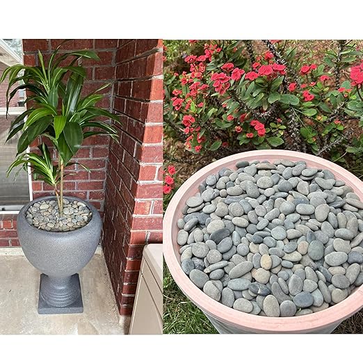 2.4LB River Rocks Mexican Beach Pebbles for Garden Landscape Stone Paving Stone Grey (1Inch)-PurrikoPets