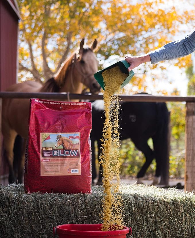Glow 40 lb, Aids in Weight Gain for Horses and Improves Coat and Condition, High in Omega-3’s-PurrikoPets