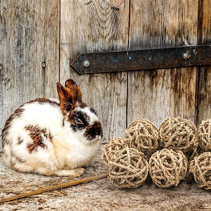 10 Pcs Small Animals Play Balls Rolling Activity Chew Toys Gnawing Treats for Rabbits Guinea Pigs Chinchilla Bunny Natural Balls, Pet Cage Entertainment Accessories(10Pcs)-PurrikoPets