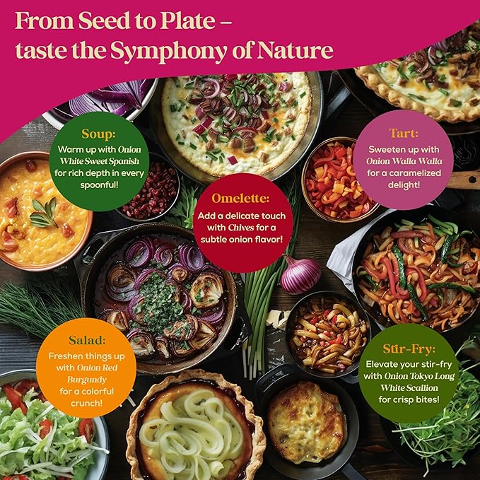 10 Gourmet Onion Seeds for Planting Variety Pack - 2,900+ Non-GMO Heirloom Vegetable Seeds for Growing Indoor & Outdoor: Red Burgundy, Leek, Walla Walla, Grano White & Yellow Sweet Spanish-PurrikoPets