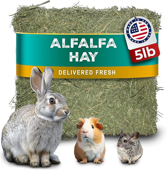 5lb Freshly Dried Organic Alfalfa Hay for Guinea Pigs, Rabbits, Chinchillas, Goats, Hamsters & Ferrets, Small Animal Food Rich in Protein & Fiber, Hand-Selected, Hand Sorted, USA Grown-PurrikoPets
