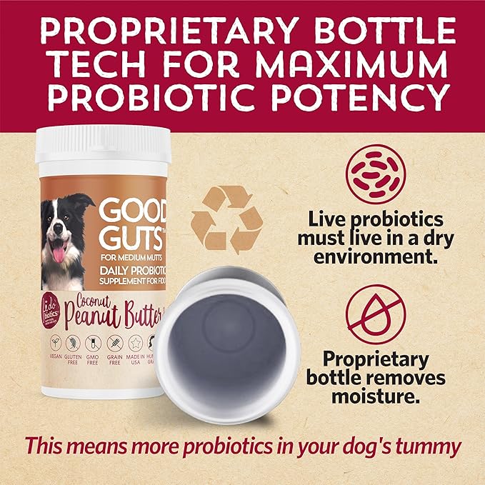 Fidobiotics Good Guts for Medium Mutts Probiotic for Dogs, 6 Billion CFUs, 11 Strains, 5 Digestive Enzymes, 2 Prebiotics, Digestive Gut Health for Dogs, Adult & Puppy Probiotics Supplements (30 Days)-PurrikoPets
