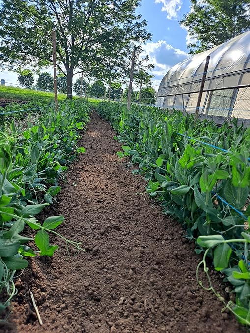 Alfalfa Meal Pellets 16 Pounds Organic Fertilizer for Flowers, Vegetables & Trees - Ideal Rabbit Food, Hamster Food, Timothy Hay Alternative - Lancaster Agriculture Products (16 Pounds)-PurrikoPets