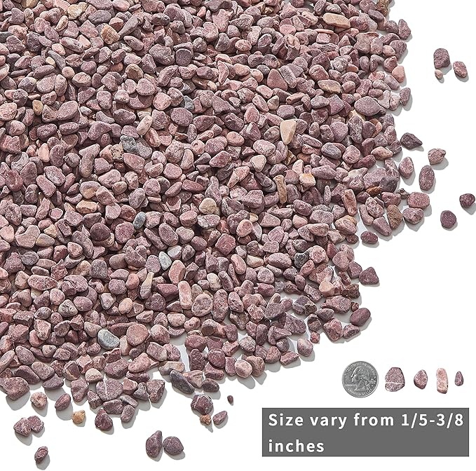 2lb Succulent and Cactus Gravel Pebbles 1/5-3/8 Inch Natural Decorative Polished Stones River Rocks for Plants, Vases, Aquariums, Terrarium and Outdoor Gardening, Rouge Red Color-PurrikoPets