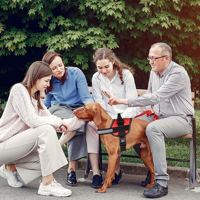 Dogline Dog Harness, Reflective No-Pull Adjustable Vest with Handle, Breathable No-Choke Harness for Small, Medium or Large Dogs Room for Patches Girth 22"-28" in Red-PurrikoPets