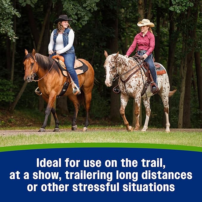 Farnam Apple Elite Electrolyte Paste Supplement for Horses, Replaces Vital Minerals, Encourages Hydration, No Added Sugar, 60 cc syringe-PurrikoPets