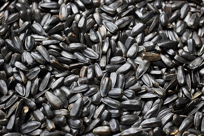 Flying Colors Premium Organic Wild Bird Seed | Black Oil Sunflower Seed | USDA Organic Ingredients | Best Seed for Backyard Bird Feeders | 3 Gallon Easy-Pour Carton-PurrikoPets