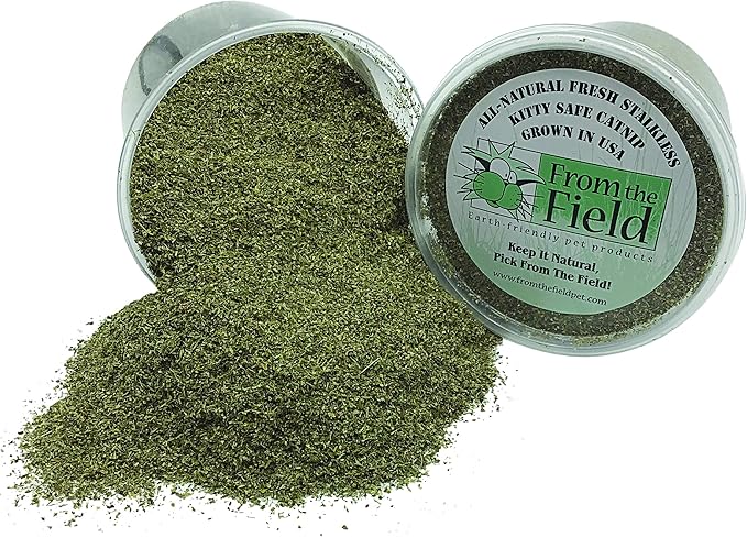 from The Field | Fine Ground Stalkless Catnip | Premium USA-Grown Catnip for Toys & Playtime | Fresh, Potent, Non-Toxic, Eco-Friendly | Safe for Kittens & Cats | Resealable 3.5 oz Tub-PurrikoPets