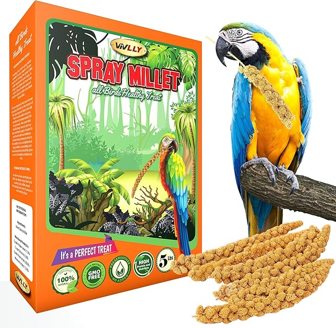 5LBS GMO-Free Sun Dried Spray Millet - Original Bird Treat Millet for Parakeets, Cockatiels, Finches & More - Non-GMO, High in Amino Acids, Easy Storage, Tasty & Healthy Bird Snacks (5 lbs)-PurrikoPets