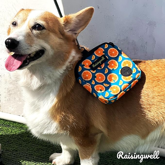 Dog Treat Pouch for Pet Walking and Training with Clicker Poop Bags Small Fanny Zipper Pack Holder for Puppy Snack Dispenser Kit for Leash and Outdoor Use (Fruit Orange)-PurrikoPets