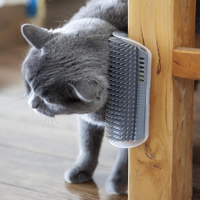 Extended (6.1") 2 Pack Self Grooming Cat Brush - Wall Corner Scratcher with Massage Combs for Long and Short Fur Cats, Kittens (Grey)-PurrikoPets