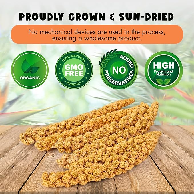 5LBS GMO-Free Sun Dried Spray Millet - Original Bird Treat Millet for Parakeets, Cockatiels, Finches & More - Non-GMO, High in Amino Acids, Easy Storage, Tasty & Healthy Bird Snacks (5 lbs)-PurrikoPets