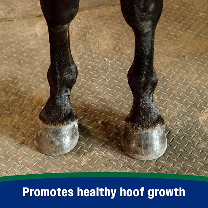 Farnam Horseshoer's Secret Pelleted Hoof Supplement for horses promotes healthy hoof growth, 22 lb., 60 day supply-PurrikoPets