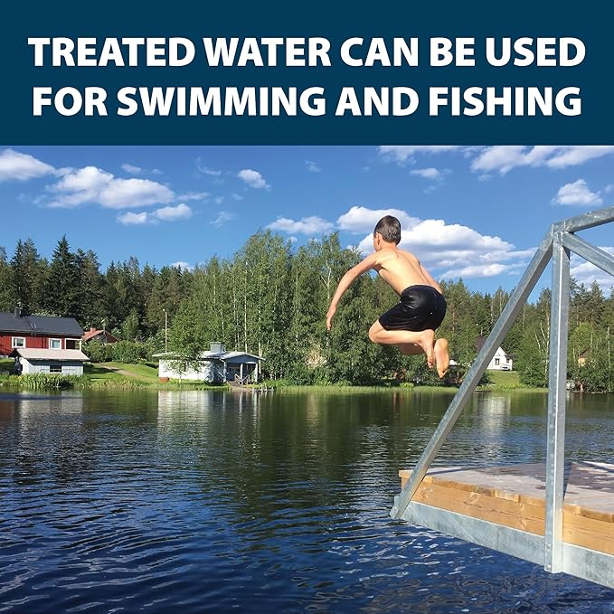 Airmax Black DyeMond Pond Dye 4X Concentrate for Outdoor Ponds & Lakes, Natural Pond Colorant & Beauty Enhancer, Block Ultraviolet Rays, Fish, Bird & Livestock Safe, Easy Liquid Application, 1 Quart-PurrikoPets