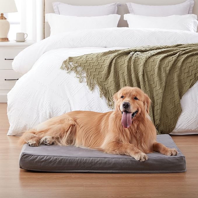 GOHOO Jumbo Dog Bed for Large Dogs, Orthopedic Memory Foam with Cooling Gel & Waterproof Lining-PurrikoPets