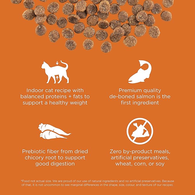 Go! Solutions Skin + Coat Care, Grain-Free Dry Cat Food, Salmon Recipe, 8 lb Bag-PurrikoPets