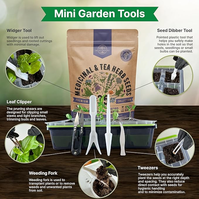 35 Medicinal & Tea Herb Seeds Variety Pack for Indoor & Outdoors. 16,335+ Non-GMO Heirloom Garden Seeds: Anise, Bergamot, Borage, Cilantro, Chamomile, Dandelion, Rosemary Seeds & More-PurrikoPets