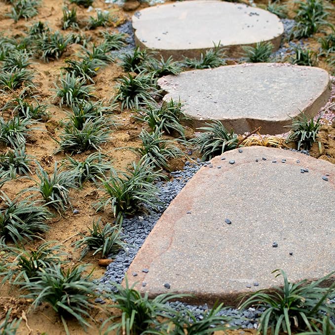 18lb Black Cactus Pea Gravel Rocks,1/4 Inch Pebbles for Indoor Plants, Natural Succulent Rock and River Rocks Decorative for Aquariums, Vases, Outdoor Gardening, Top Dressing for Potted Plants-PurrikoPets