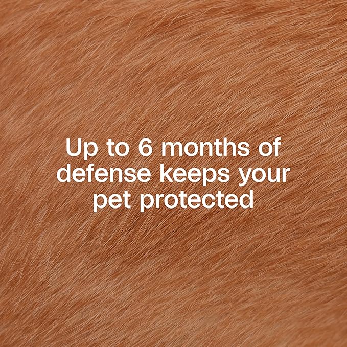 Adams Flea & Tick Collar Plus for Dogs & Puppies |2 Pack |12-Month Protection |One Size Fits All Dogs & Puppies 12 Weeks and Older |Kills Fleas and Ticks |Repels Mosquitoes (excluding California)-PurrikoPets