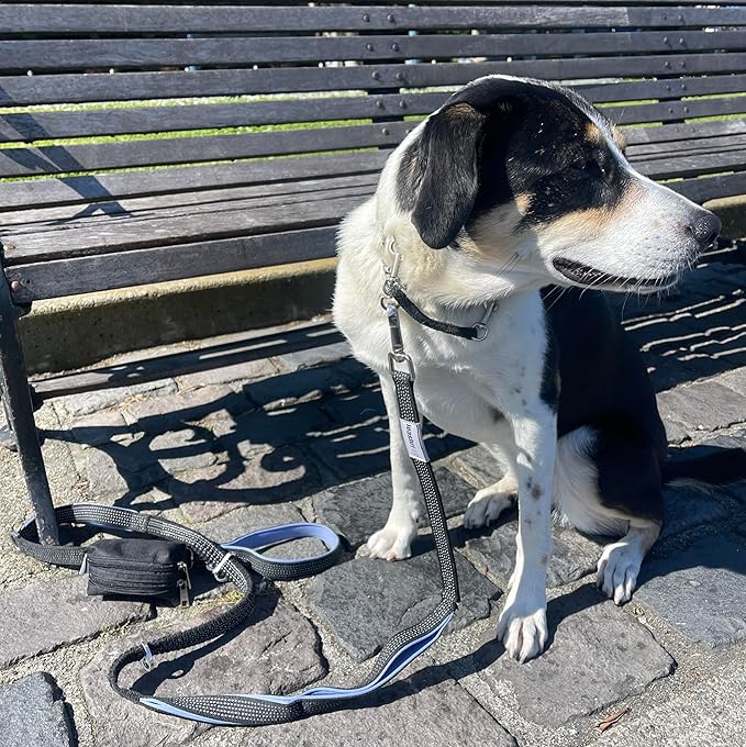 Dog Poop Bag Holder for Leashes - Dog Poop Bag Dispenser and Treat Holder with 2 Waterproof Pouches for Pet Waste Bags and Walking Accessories + 1 Free Roll - Leashrr 2.0 (Pink)-PurrikoPets