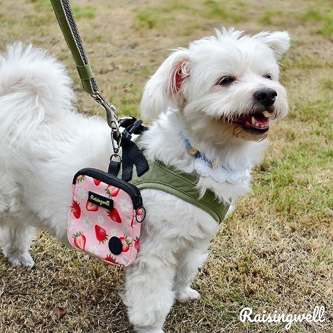 Dog Treat Pouch for Pet Walking and Training with Clicker Poop Bags Small Fanny Zipper Pack Holder for Puppy Snack Dispenser Kit for Leash and Outdoor Use (Strawberry)-PurrikoPets