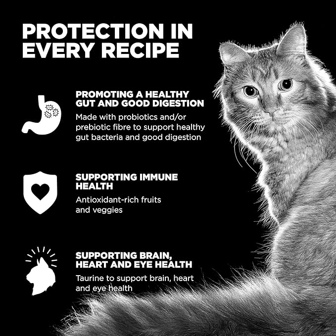 Go! Solutions Skin + Coat Care, Dry Cat Food, Chicken Recipe with Grains, 8 lb Bag-PurrikoPets