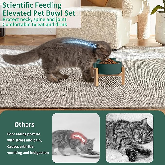 Elevated Ceramic Dog Bowl Set - Raised Feeding Bowls with Non-Slip Bamboo Stand - Small Pet Dishes for Food and Water - Ideal for Cats and Puppies - 16.23 OZ - 2 Cups - 480 ML-PurrikoPets