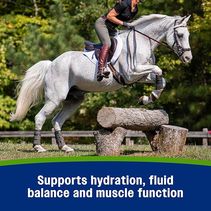 Farnam Apple Elite Electrolyte Supplement for Horses, Replaces Vital Minerals, Encourages Hydration, No Added Sugar, 7.5 lb, 40 Day Supply-PurrikoPets