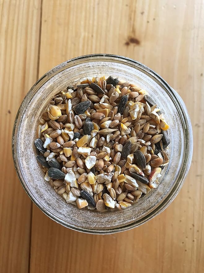 Ernst Grain & Livestock's Bird and Wildlife Feed – Perfect for Birds, Ducks, Squirrels, Turkeys, Rabbits, Geese, and Deer – Non-GMO Wild Animal & Bird Feed for Outside Feeders (46 Pounds)-PurrikoPets