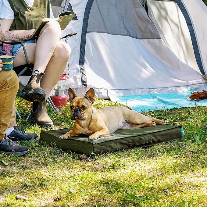 FurHaven Cooling Dog Bed – Medium Foam Mattress for Joint Pain Relief, Waterproof Liner, Removable Washable Cover, Durable for Outdoor Use, Deluxe Grid Indoor/Outdoor Bed – Green, Medium-PurrikoPets