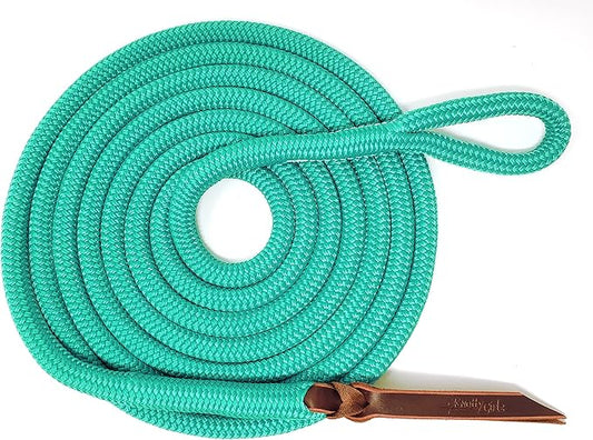 Double Braid Lead Rope with Eye Splice Loop, 12-14FT Lengths (Turquoise, 14 ft.)-PurrikoPets