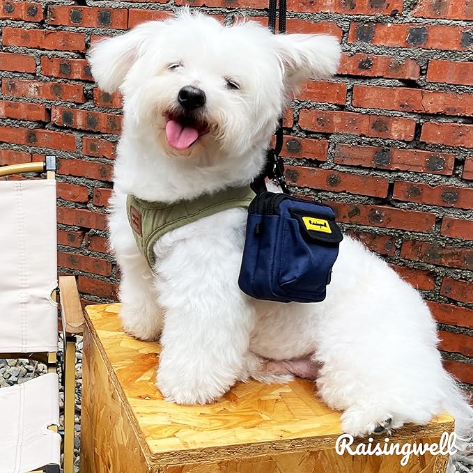 Dog Treat Pouch for Pet Walking and Training with Clicker, Poop Bags and Three Bags Design Small Fanny Zipper Pack Holder for Puppy Snack Dispenser Kit for Leash and Outdoor Use (Blue)-PurrikoPets