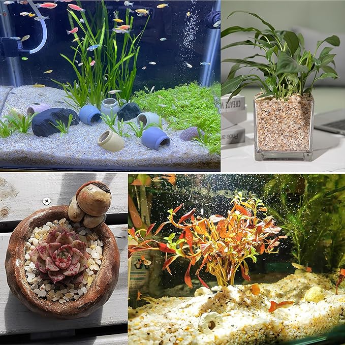 5lb Mixed Sand Rocks Pebbles Pumice Potting Soil Amendment Succulent Cactus Bonsai Gritty Rock Decorative Gravel for Succulents, Bonsai, Vase Fillers,Terrarium Plants-PurrikoPets