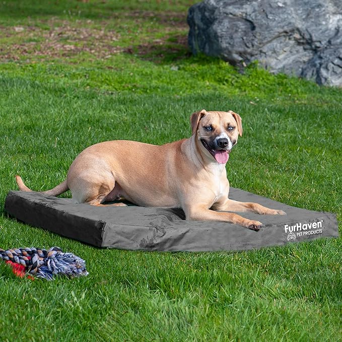 Furhaven Water-Resistant Cooling Gel Dog Bed for Large/Medium Dogs w/ Removable Washable Cover, For Dogs Up to 55 lbs - Indoor/Outdoor Logo Print Oxford Polycanvas Mattress - Stone Gray, Large-PurrikoPets