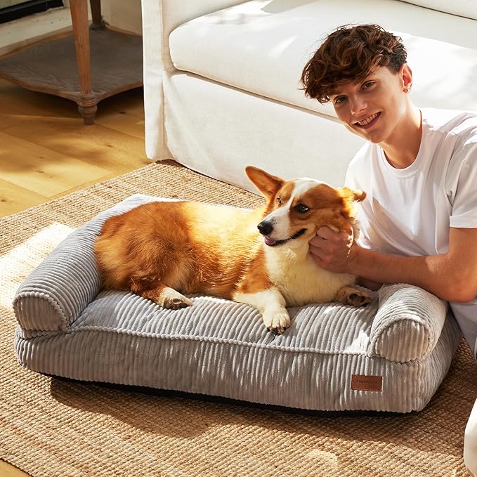 FUKUMARU Cute Dog Bed, Fluffy Dogs Couch with TPU Layer Keeping Lining Dry, Pet Sofa Medium Size Dog Easy to Care, Warm Cat Bed with Removable Zipper Cover, 36inch, Large, Light Grey-PurrikoPets