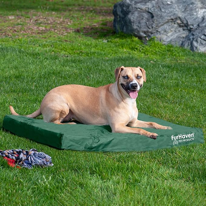 Furhaven Water-Resistant Cooling Gel Dog Bed for Large/Medium Dogs w/ Removable Washable Cover, For Dogs Up to 55 lbs - Indoor/Outdoor Logo Print Oxford Polycanvas Mattress - Forest, Large-PurrikoPets